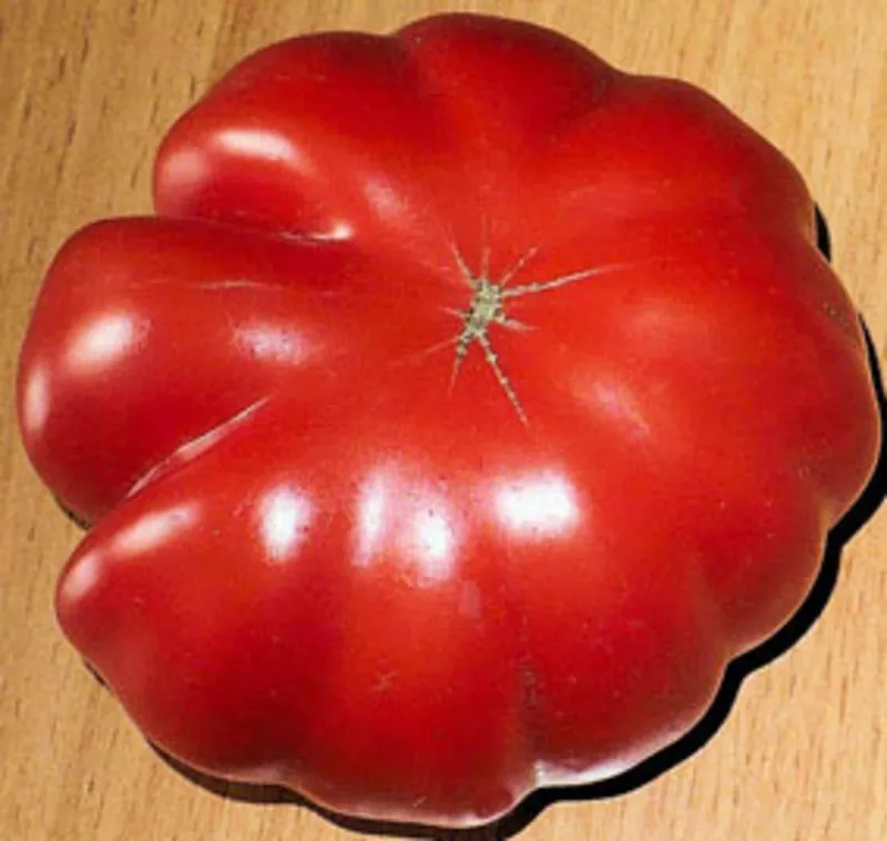 Семена томатов. 330 сортов 2